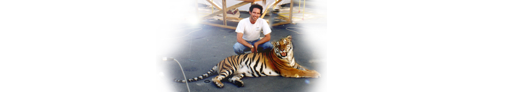 1996_Digital_Domain_Arthur_Klein_Tiger_990x180